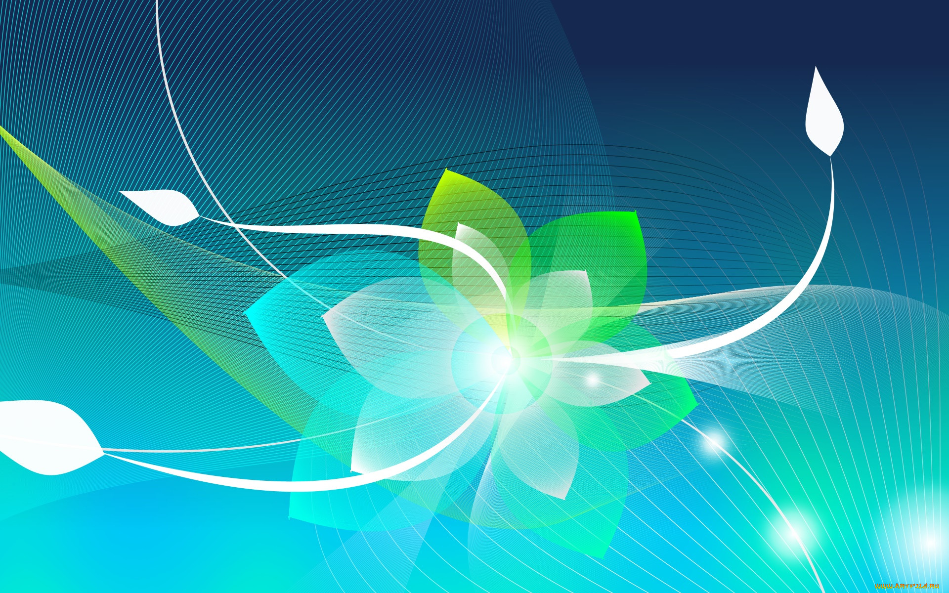 ,  , graphics, , , 